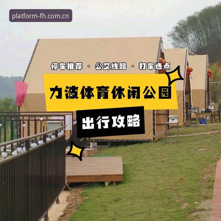 FH体育平台新手使用指南：从下载到稳定运行的完整攻略
